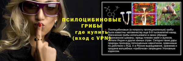 эйфоретик Новозыбков