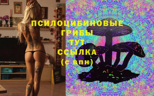 кокс Новокубанск