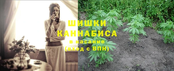 крисы Нязепетровск