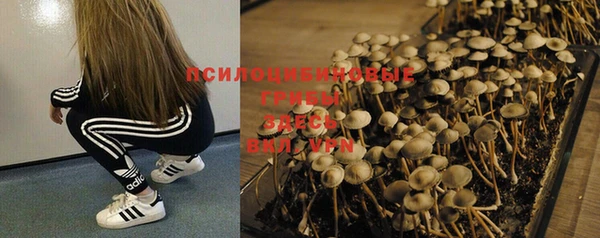марки nbome Няндома